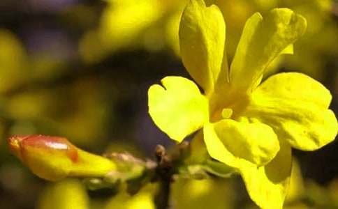 С��ӭ�����̰���ͨ��20ƪ��