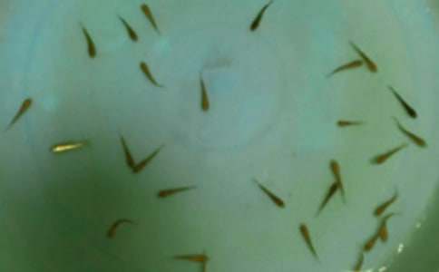 �������ͬ