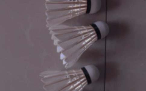 ��ë�������߻�����