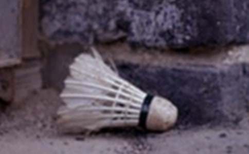 ��ë��γ̽�ѧ�ƻ�