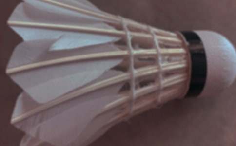 ��ë���ѧ�ƻ�(�Ƽ�)