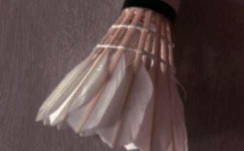 ��ë���ѧ�ƻ�12ƪ