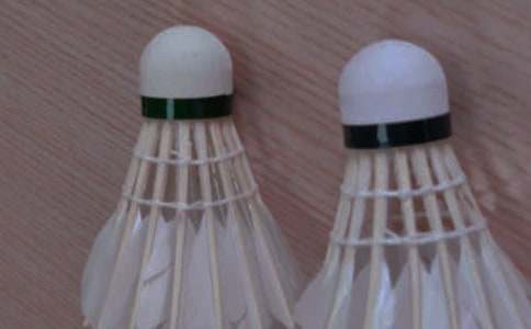 羽毛球教学计划15篇