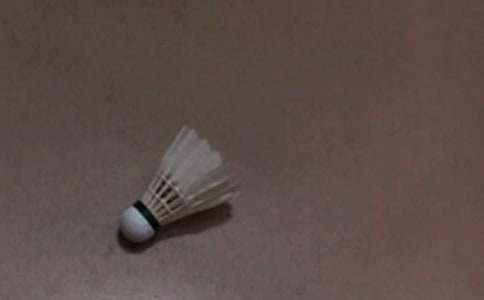 ��ë�����߻��飨����2ƪ��