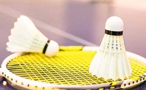 ��ë���ѧ�������