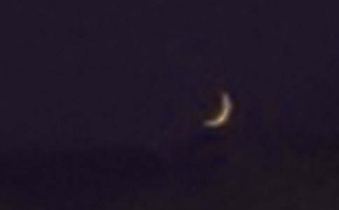 �������塷��ѧ���(14ƪ)