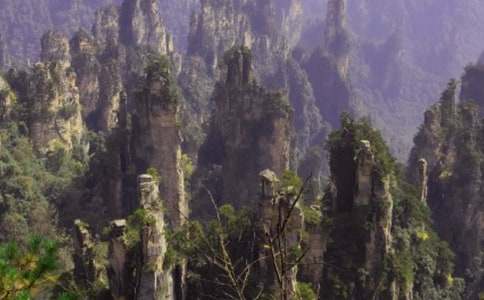 ���˵��żҽ��ѧ���