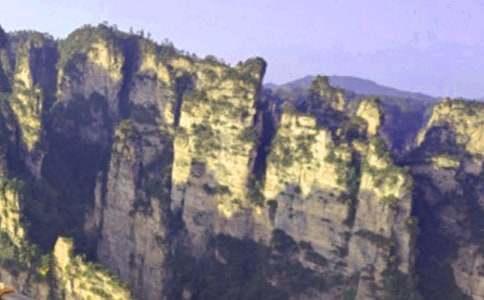 �����˵��żҽ硷��ѧ���