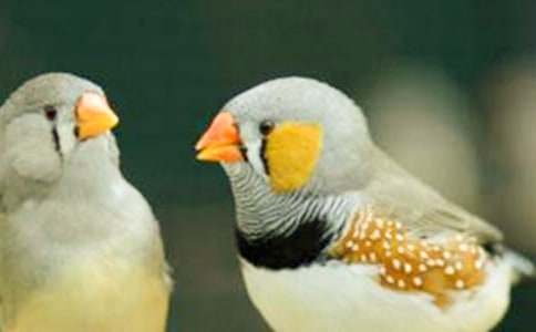 �������񡷽�ѧ��Ƽ���15ƪ