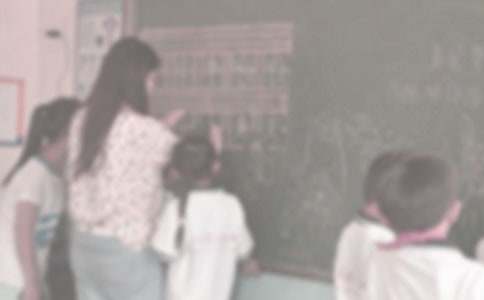 ֧��ʵϰ�����ܽ�(�ϼ�14ƪ)