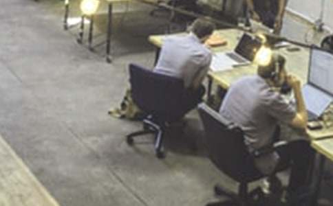 Ůְ�������ܽᣨͨ��15ƪ��