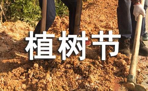 ������ֲ���ڽ̰�