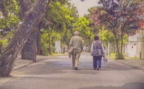 �����꼶�鹤���ܽ�(12ƪ)