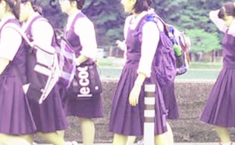 ����ѧ����ȫЭ����