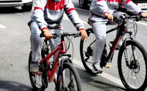 ��ѧ����ѧ������13ƪ