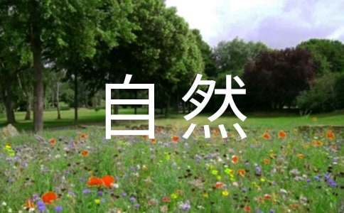 ����Ȼ֮����Ƭ�ν�ѧ��ƣ���ѡ5ƪ��