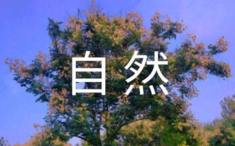 ����Ȼ֮������ѧ���