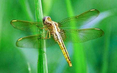 �����ѷɷɡ���ѧ���