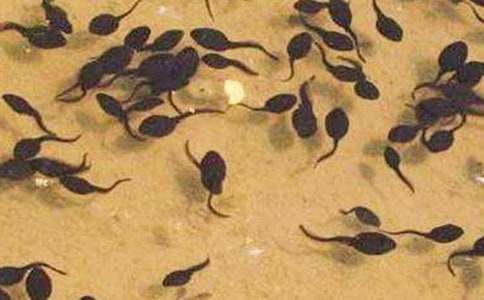 ʵ�õ�С���������̰�3ƪ