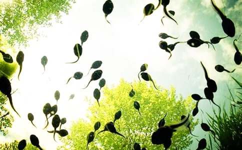 С���������̰�����ѧ��˼