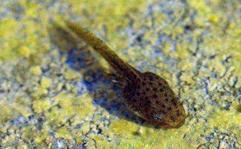 С���������С��򽡷 ��ѧ���