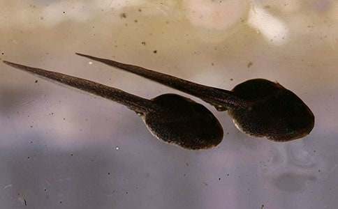 С����������ѧ���