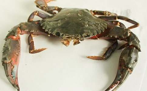 �з�˹ϴ�ཡ���̰�