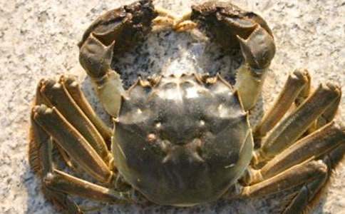 С�з�ҹ���˵�θ�