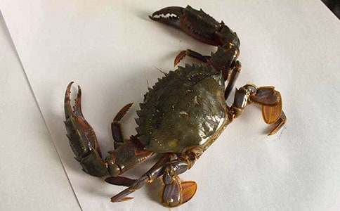 ���з�衷��ѧ��˼ 12ƪ