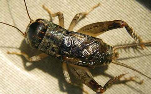 �����סլ����ѧ��˼(15ƪ)