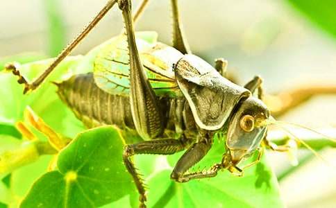 ���סլ�����ѧ���