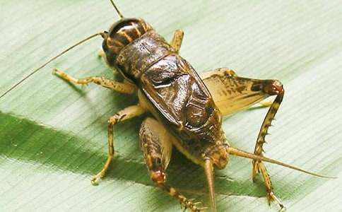 ���סլ��ѧ���(��ѡ15ƪ)