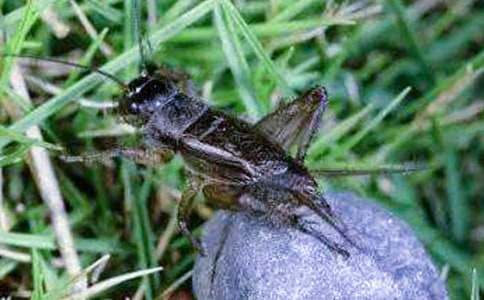 �����סլ����ѧ��˼��ͨ��12ƪ��