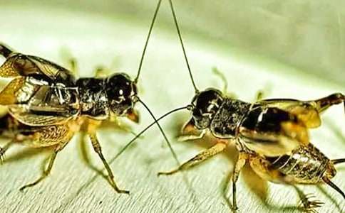 ���סլ��ѧ��˼(15ƪ)