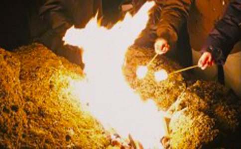 篝火晚会策划方案