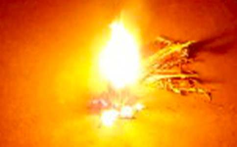 ��ѧ����������߻���