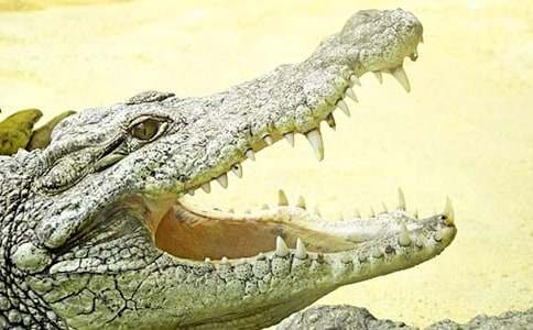 �汾���������ѧ���