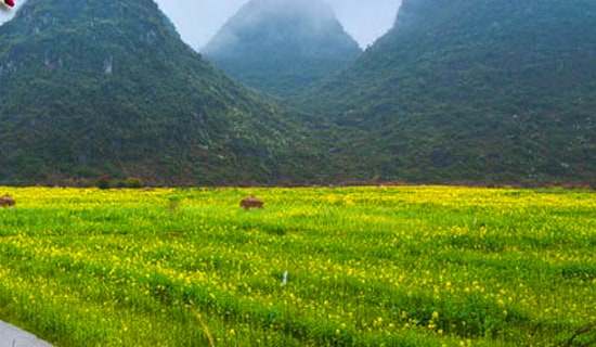 小班社会春游教案(通用19篇)